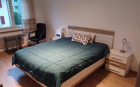 Comfortable Room In Bern
